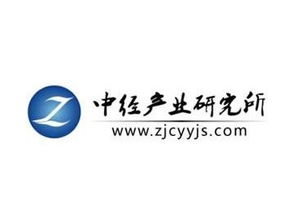 中國網絡安全市場運營形勢及前景發展規劃分析報告（2018-2020） 聚焦網絡與信息安全軟件開發